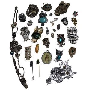 Large 30 Piece Lot Vintage Owl Jewelry Necklaces Brooches Pins Rings Resell